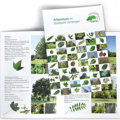 Stadtpark Uerdingen Arboretum Broschüre