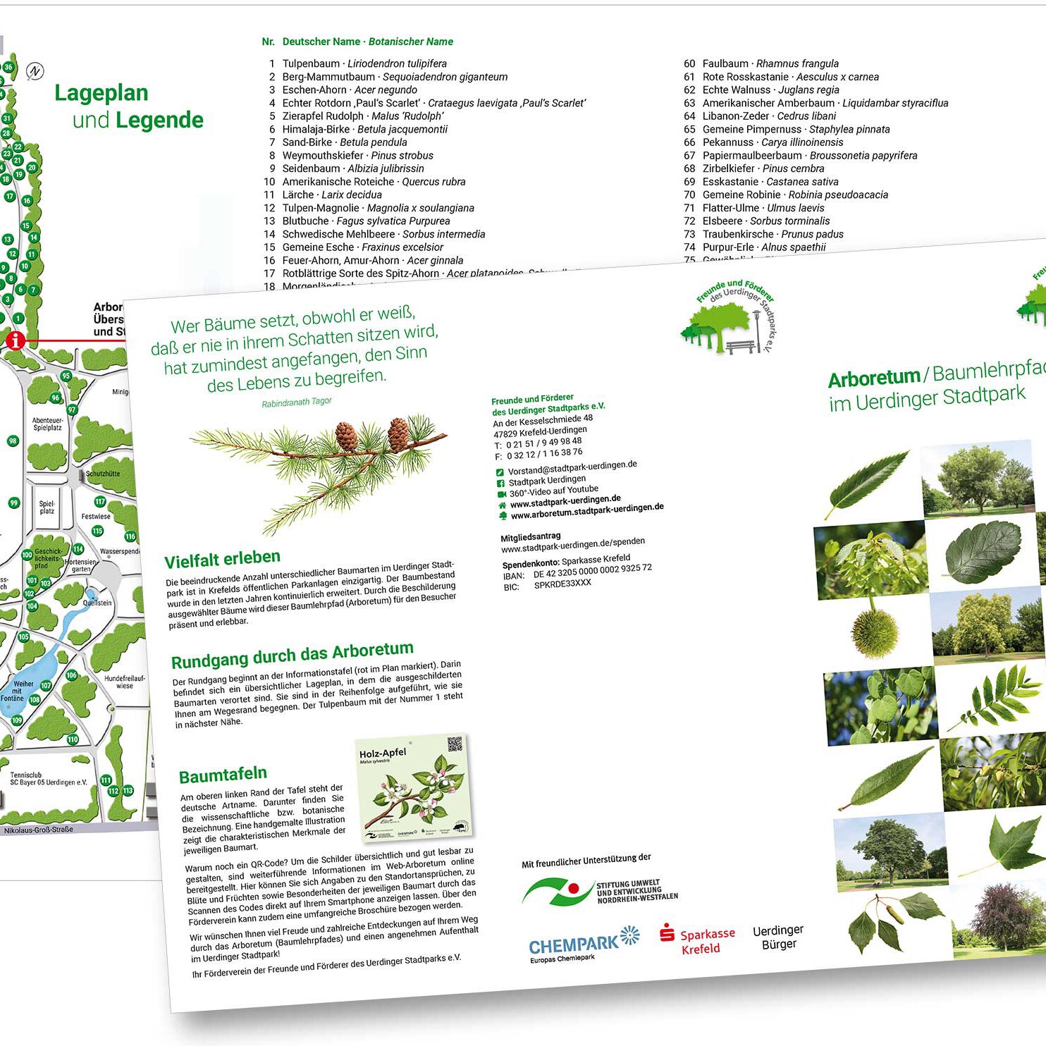 Stadtpark Uerdingen Arboretum Flyer