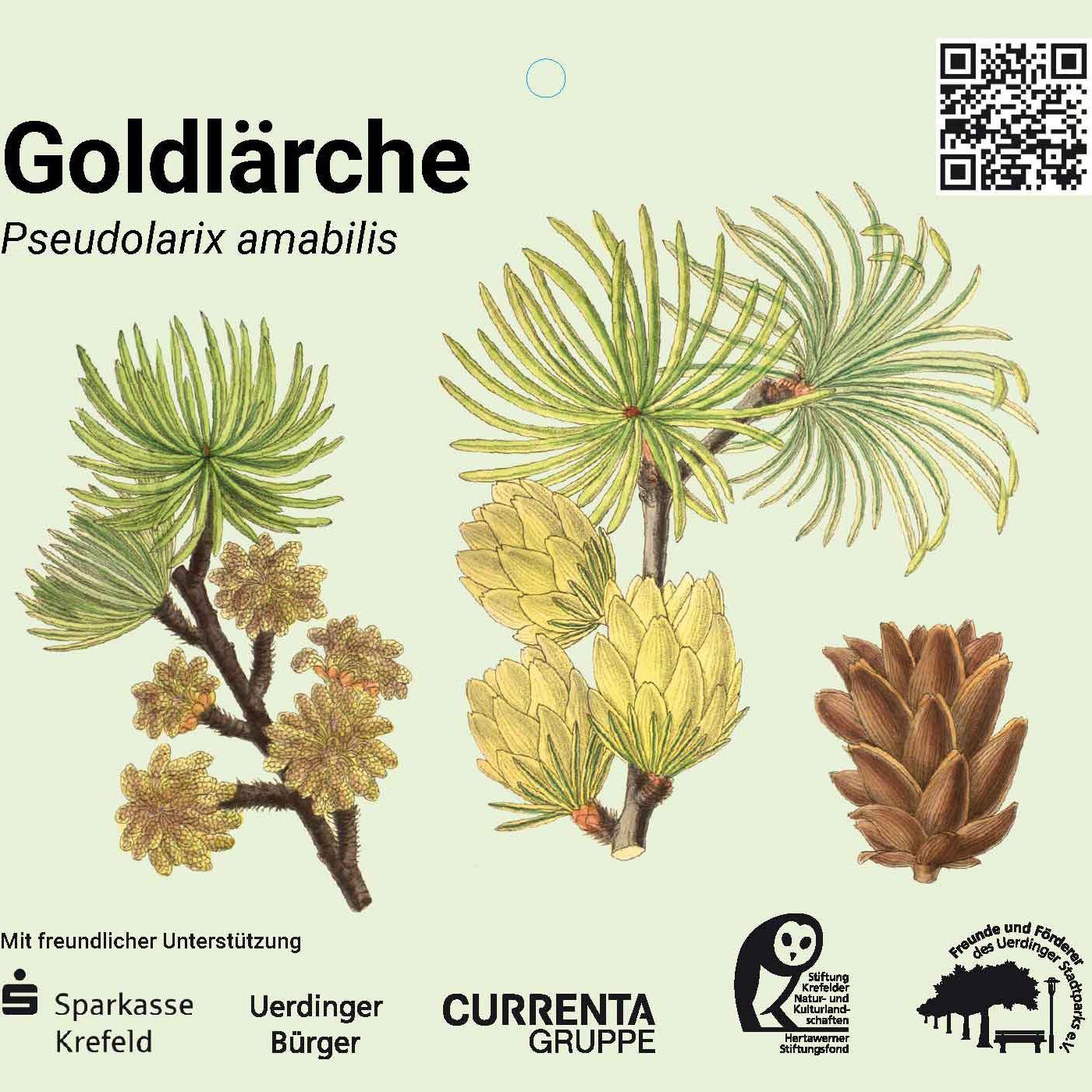 Stadtpark Uerdingen Baumschilder