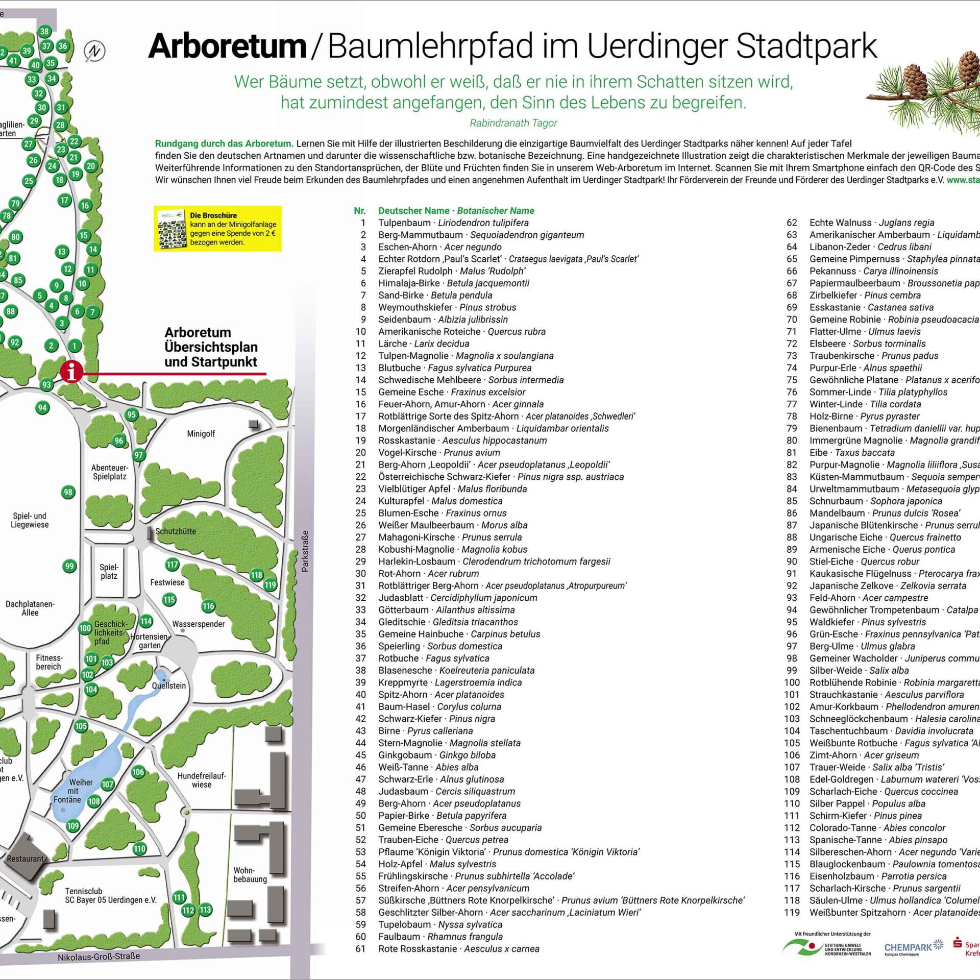 Stadtpark Uerdingen Schautafel Arboretum