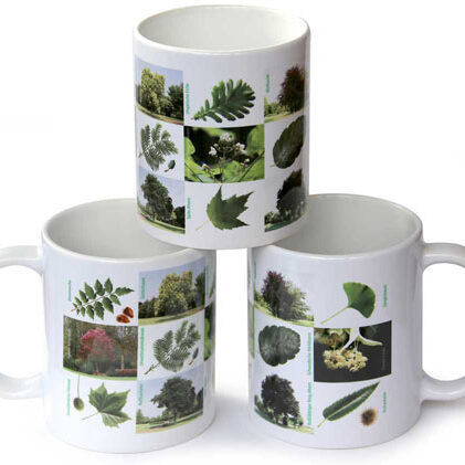 Stadtpark Uerdingen Arboretum Tasse